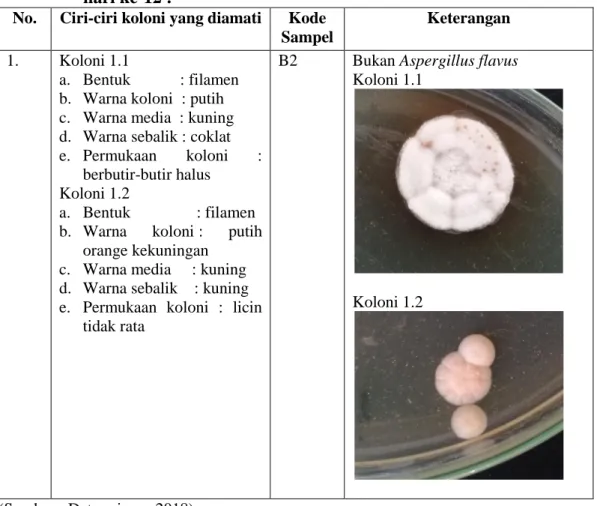 Tabel 4.4  Hasil  pemeriksaan  secara  makroskopis  saus  tomat  yang  digunakan penjual salome di Taman Nostalgia Kota Kupang pada  hari ke-12 : 