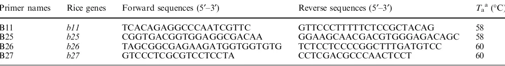Table 1 Primer sequences developed from the rice BAC sequence used in this study