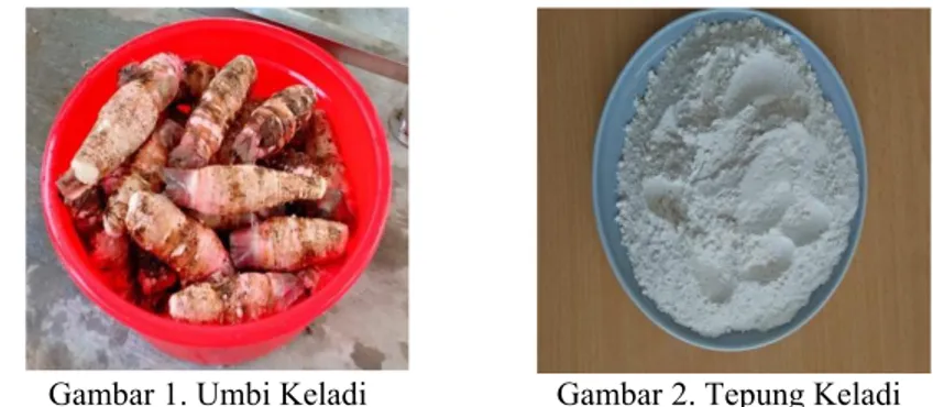 Gambar 1. Umbi Keladi Gambar 2. Tepung Keladi 1. Rendemen