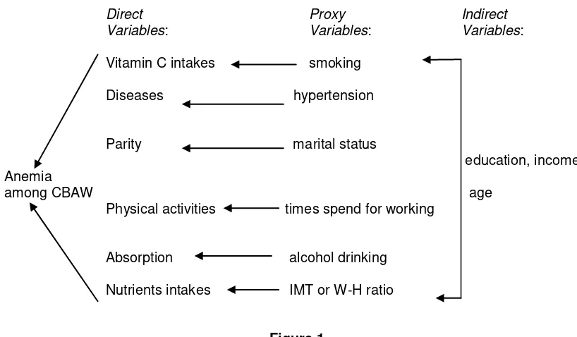 Figure 1 Framework Non-food Risk Factors of Anemia Status at  