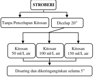 Gambar 1. Perendaman dalam kitosan pada 
