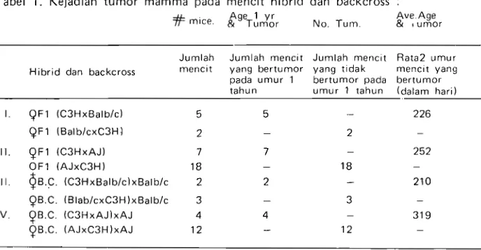 Tabel 1. Kejadian tumor mamma pada mentit hibrid dan backcross : 