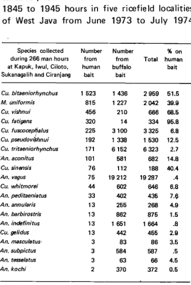 Table 6 Comparison of collections made simul- taneously on human and buffalo bait from 1845 to 1945 hours in five ricefield localities of West Java from June 1973 to July 1974 