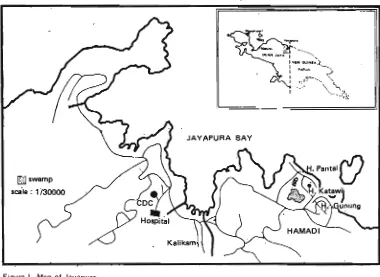 Figure I Map of Jayapura. 