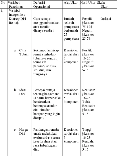 Tabel 3.1. Variabel Penelitian, Defenisi Operasional, Alat Ukur, Hasil Ukur, 