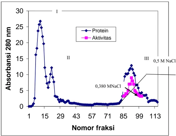 Gambar 1. Hasil purifikasi protein  dari  Pheretima javanica menggunakan  kromatografi kolom DEAE, kandungan protein masing-masing  fraksi diukur absorbansinya dengan spektrofotometer pada λ 280  nm beserta aktivitasnya dengan difusi agar pada media nutrie