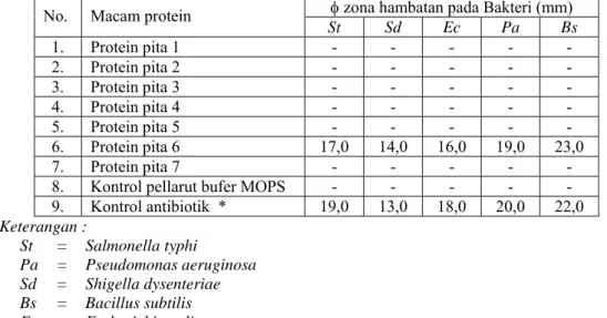 Tabel 2. Kuantifikasi uji aktivitas protein antibakteri dari Pheretima javanica hasil pemurnian  dengan Native–PAGE pada media nutrien 