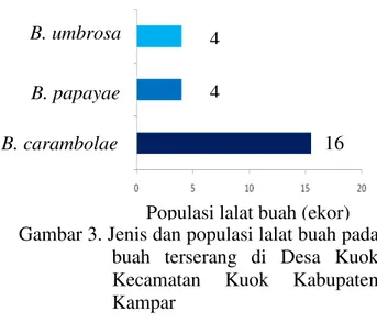 Gambar 3. Jenis dan populasi lalat buah pada  buah  terserang  di  Desa  Kuok  Kecamatan  Kuok  Kabupaten  Kampar 