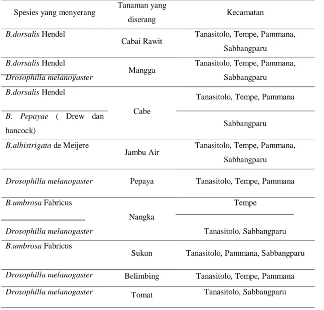 Tabel 1. Spesies Lalat Buah yang Menyerang Buah yang diamati 