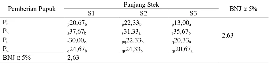 Tabel 6. Rata-Rata Panjang Akar pada Pemberian Berbagai jenis pupuk kandang dan Panjang Stek 