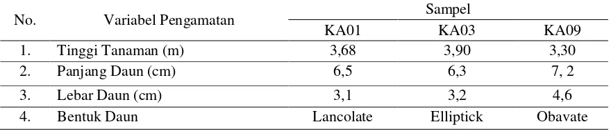 Tabel 1. Ciri Utama secara Morfologi yang Membedakan Antar Sampel Tanaman  Jeruk Di Desa Karya Agung Kecamatan Taopa 