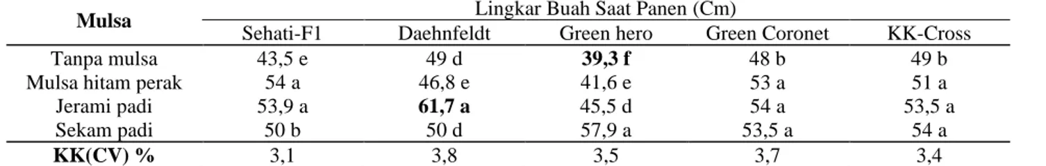Tabel 6. Rerata lingkar buah tanaman kubis (cm) 