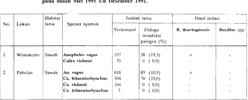 Tabel 1. Hasil isolasi Bacillus th~rin~ensis dark larva nyamuk di dua daerah penelitian 