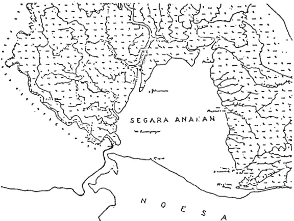 Figure 5. Segara Anakan, 1917. An estuary virtually free of islands. 