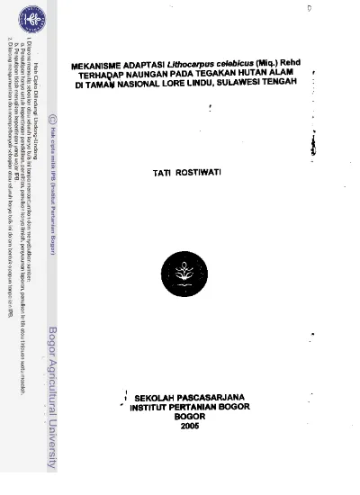 Mekanisme Adaptasi Lithocarpus Celebicus (Miq.) Rehd terhadap Naungan