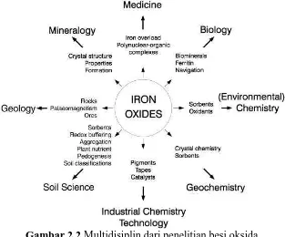 Gambar 2.2 Multidisiplin dari penelitian besi oksida (Cornel & Schwertmann, 2003) 
