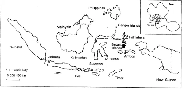 Figure 1. Bacan is one of the three main islands in the Bacan subdistrict. The island is located adjacent to Halmahera island, North Maluku, 