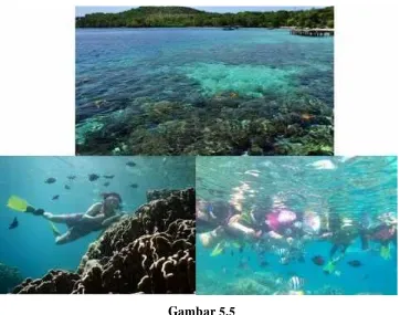 Gambar 5.5Kondisi Pantai Iboih dan Atraksi Snorkeling di Pantai Iboih