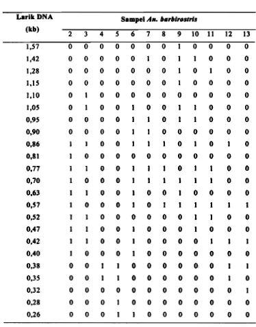 Tabel '2. Pengamatan Larik DNA pads An. barbtrostris Berasal dari 6 