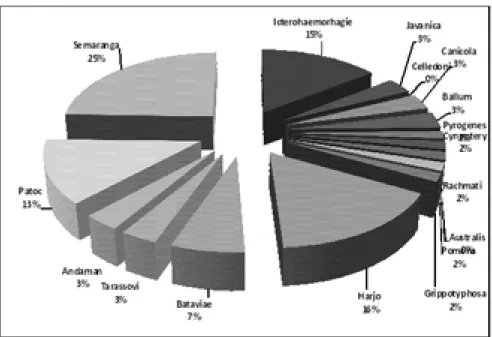 Gambar 4. Serovar Bakteri Leptospira sp. pada Serum Penderita Leptospirosis (n = 41)