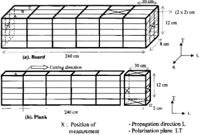 Figure 1. Detail of dimension and position ofnondestructive measurement (a). Board, (b)