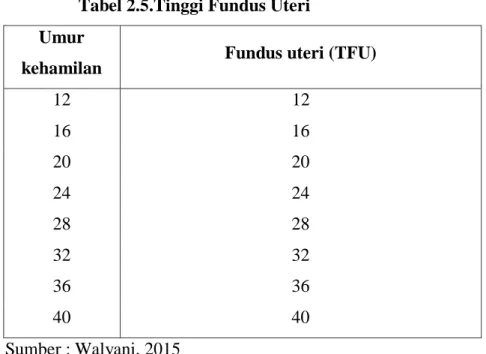 Tabel 2.5.Tinggi Fundus Uteri  Umur 