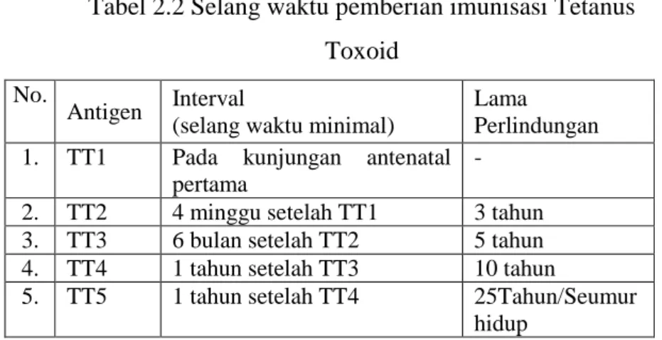 Tabel 2.2 Selang waktu pemberian imunisasi Tetanus  Toxoid 
