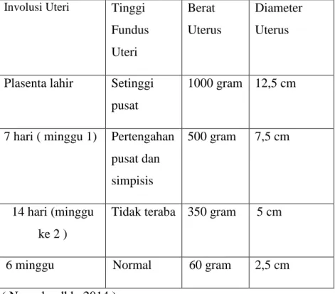 Tabel 2.8 Tinggi Fundus Uteri  Involusi Uteri  Tinggi 