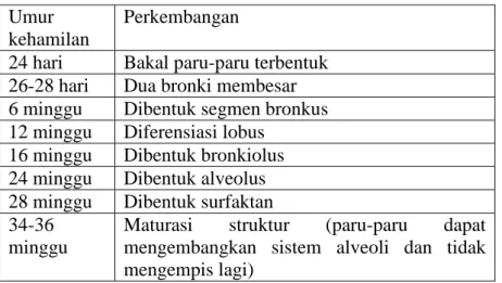 Tabel 2.7 Perkembangan Sistem Pulmoner  Umur 