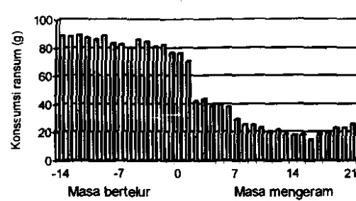 Gambar 4 Konsumsi ransum harian selama 14 hari terakhir masa bertelur dan rnasa mengeram (hari ke 0 adalah saat ayam muJai mengeram) 