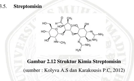 Gambar 2.12 Struktur Kimia Streptomisin  (sumber : Kolyva A.S dan Karakousis P.C, 2012) 
