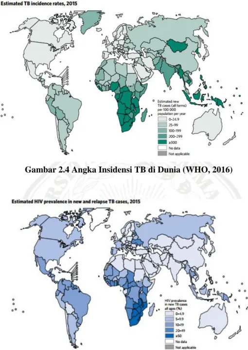 Gambar 2.5 Angka Insidensi TB dengan HIV (WHO, 2016) 