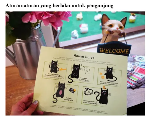 Gambar 5.  Cat Room Rules.  (Sumber : google.com, 2015) 