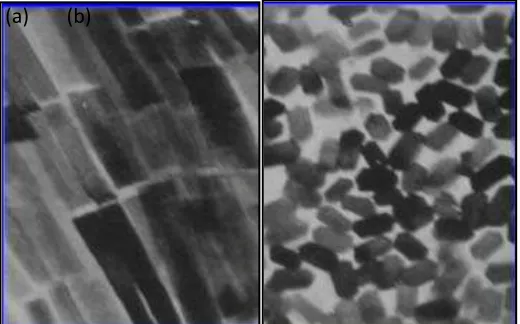 Gambar 2.Tampilan Scanning Electron Microscope 