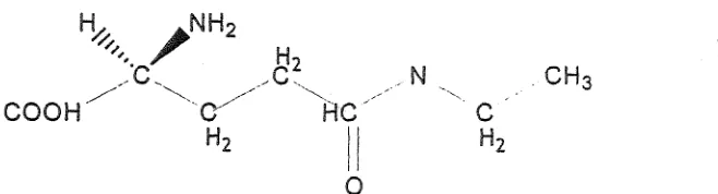 Gambar 1 : Struktur kimia Ltheanin 
