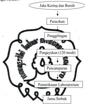 Gambar 4.3 Proses Pembuatan Jamu Serbuk dari Rimpang Jahe  di PJ. 