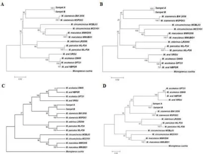 Gambar 3 Topologi Pohon Filogenetik, A) Metode ME; B) Metode NJ; C) Metode MP; dan                     D) Metode ML 