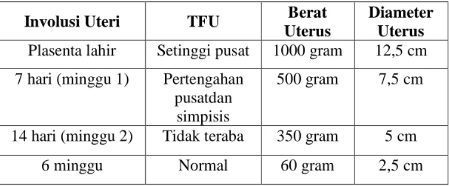 Tabel  2.  6.  Perubahan-Perubahan  Normal  Pada  Uterus 