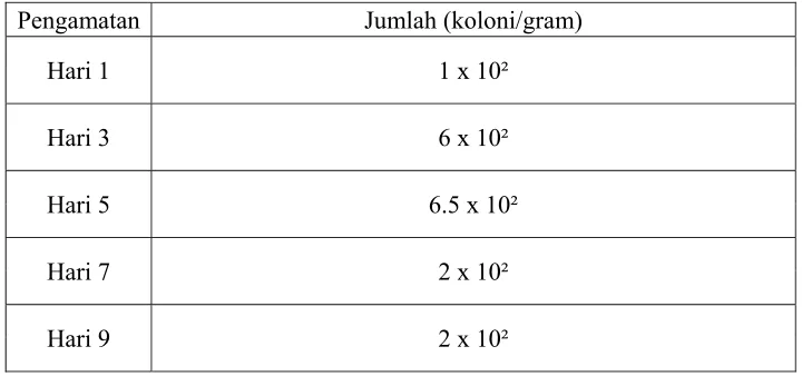 Tabel 11. Nilai Rata-Rata Jumlah Kapang dan Khamir Ikan Teri Nasi (Stolephorus commersonii, Lac.) Selama Penyimpanan