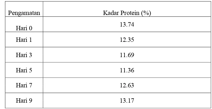 Tabel 12. Nilai Rata-Rata Kadar Protein Selama Penyimpanan 