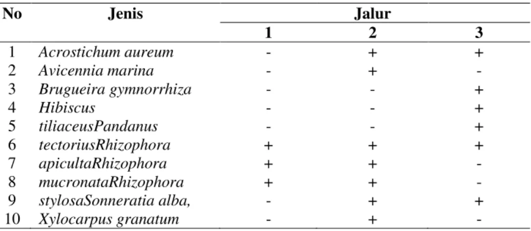 Tabel 9. Indeks Nilai Penting (INP)semai dan pancang pada lokasi penelitian  No  Jenis Mangrove  Indeks Nilai Penting (INP) % 