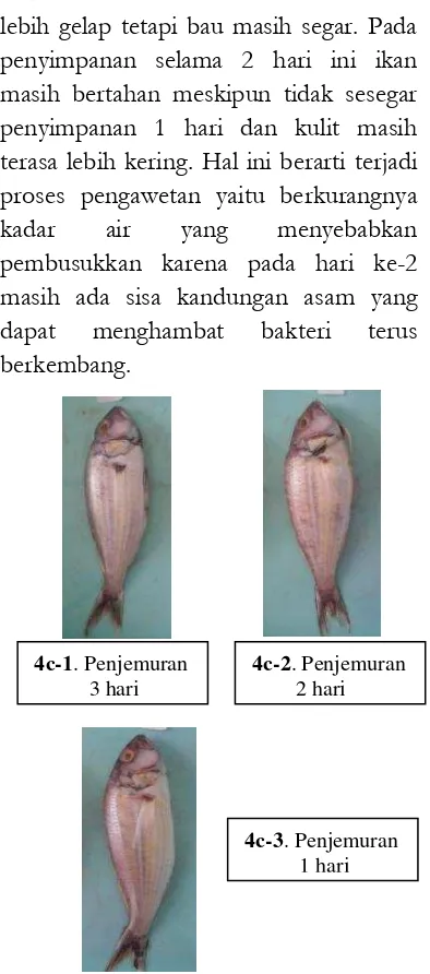 Gambar 4b-3 warna kulit badan ikan 