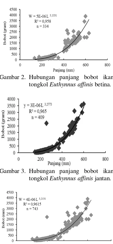 Gambar 3. Hubungan panjang bobot ikan  tongkol Euthynnus affinis jantan. 