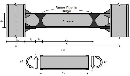 Gambar 3. Overstrength plastic hinge-based shearlink[2].