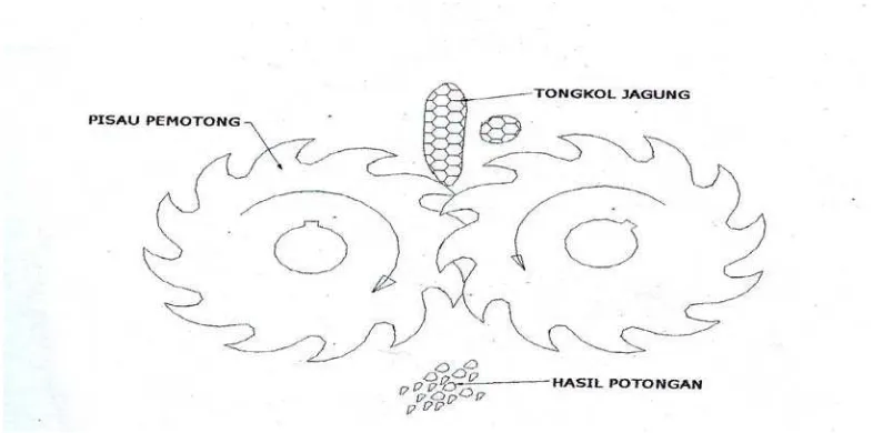 Gambar 2.10. Proses pemotongan tongkol jagung 