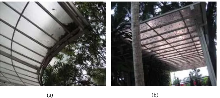 Gambar 6. (a) dan (b) Kotor pada Atap Kanopi