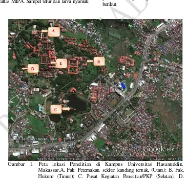 Gambar 1. Peta lokasi Penelitian di Kampus Universitas Hasanuddin,  Makassar.A. Fak. Peternakan, sekitar kandang ternak, (Utara); B