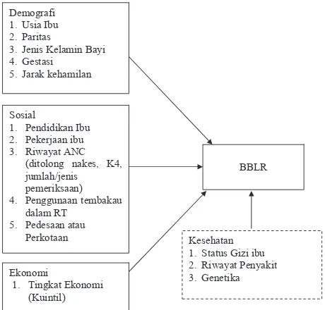 Gambar 1.Gambar 1.     Kerangka Konsep analisis risiko terjadinya BBLR (diadopsi dari Pramono dan Muzakiroh,  2010)