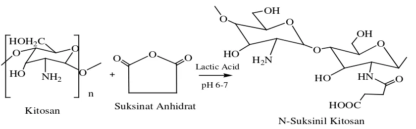 Gambar 2.3 Reaksi pembentukan N-suksinil kitosan 