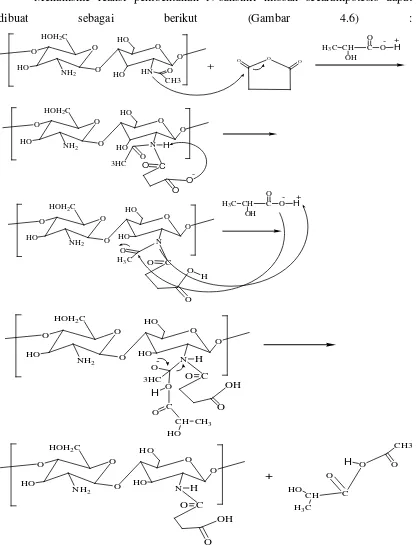 Gambar 4.6Mekanisme reaksi pembentukan N-suksinil kitosan 